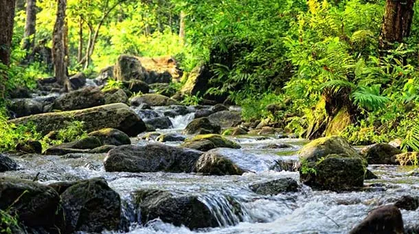 BEST 10+ Tempat Menarik di Sungai Petani Wajib Dikunjungi